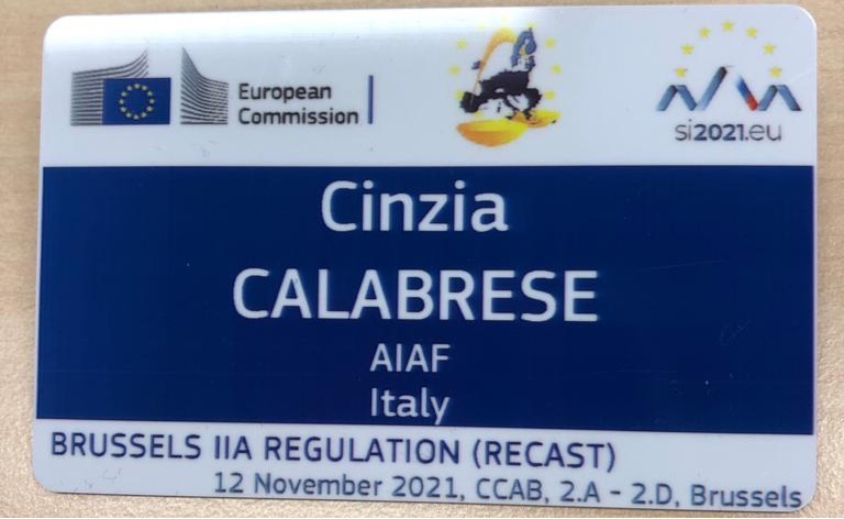 CONFERENCE ON THE IMPLEMENTATION  OF THE BRUSSELS IIA REGULATION